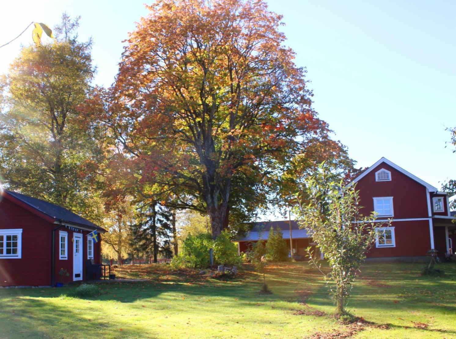 Stuga Gasstorp Hova Buitenkant foto