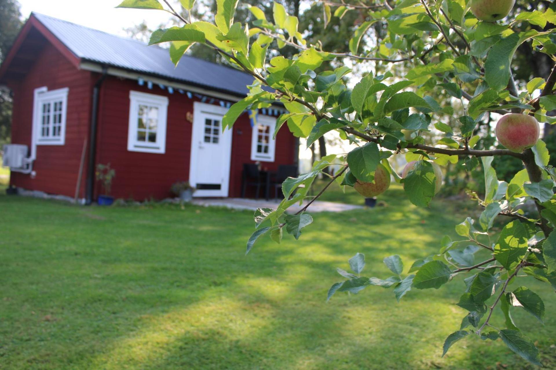 Stuga Gasstorp Hova Buitenkant foto
